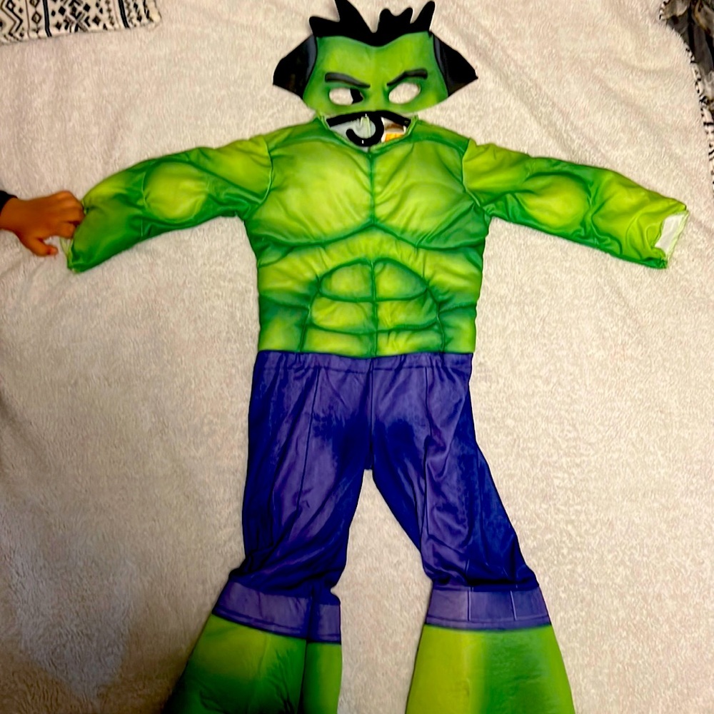 Hulk costume 2T used